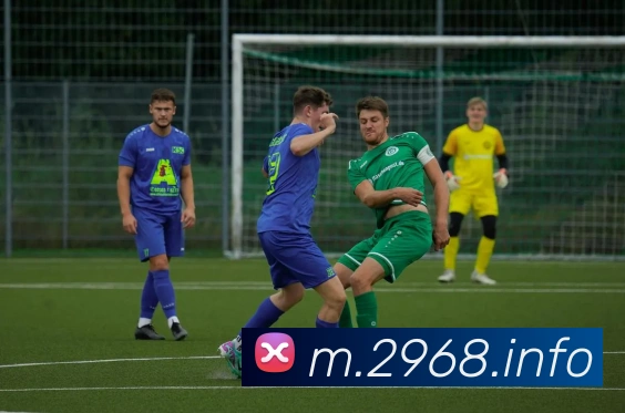 数据分析功能